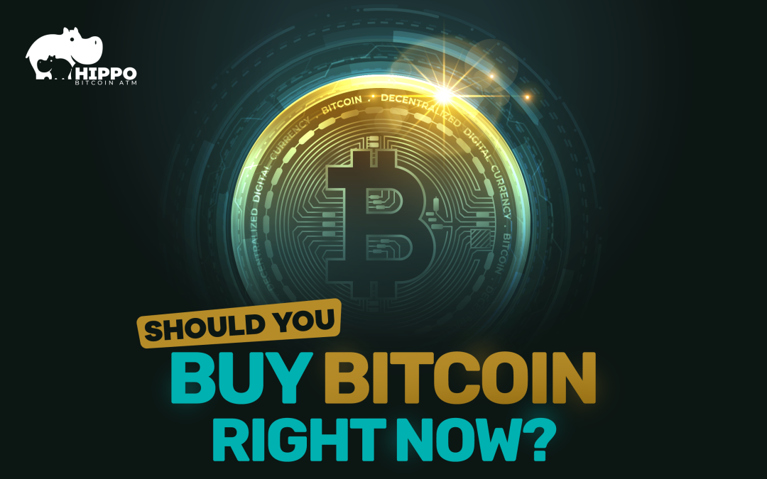 Should You Buy Bitcoin Right Now? | Hippo ATM